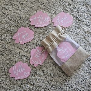 Monthly Milestone Baby Plaques